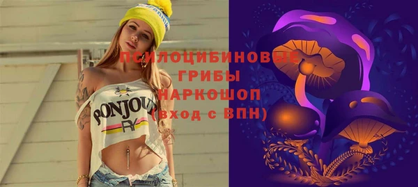 spice Няндома