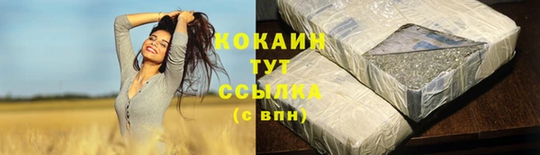 spice Няндома