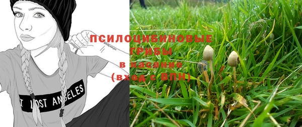 шишки Болотное