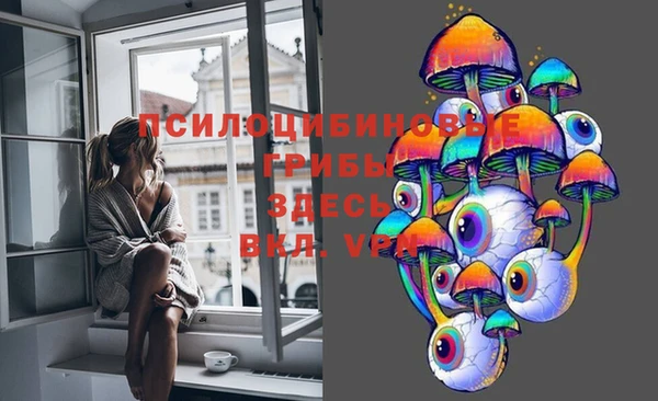 твердый Нязепетровск