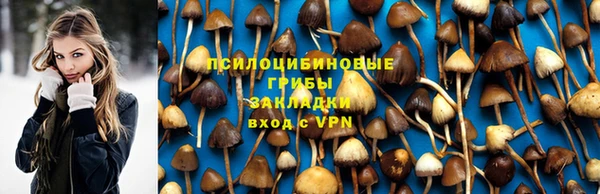 Альфа ПВП Болохово