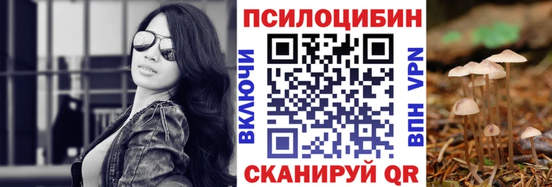 Псилоцибиновые грибы Psilocybine cubensis  Луга 