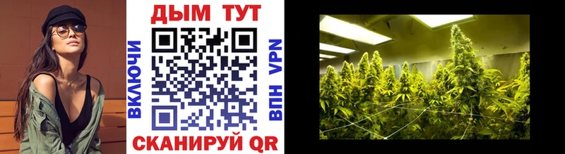 купить закладку  Луга  MEGA маркетплейс  Бошки Шишки гибрид 