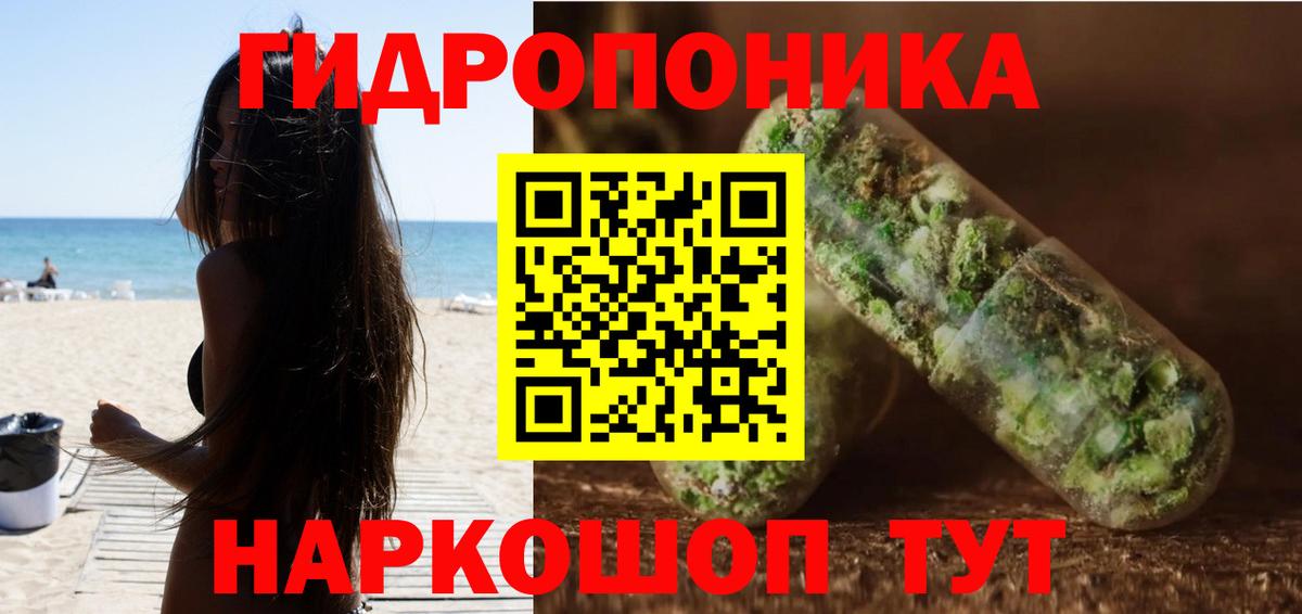 Бошки Шишки SATIVA & INDICA  Бошки марихуана планчик  Луга  Бошки марихуана план  Канабис гибрид 